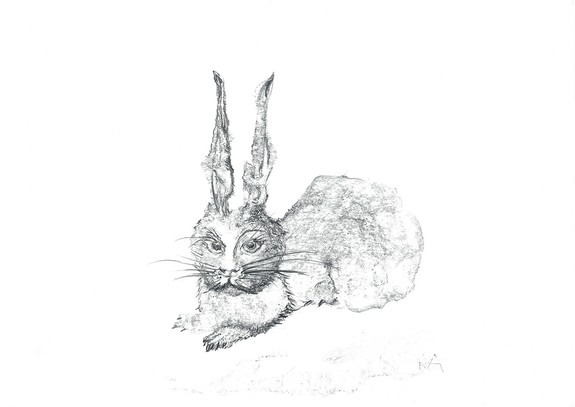 Nenn mich nicht Hase, Nina Ansari, 2018